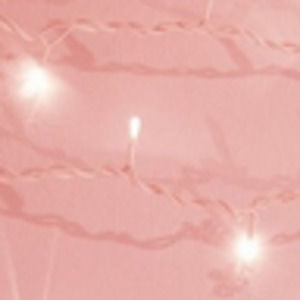 Meet your Posher, Raina